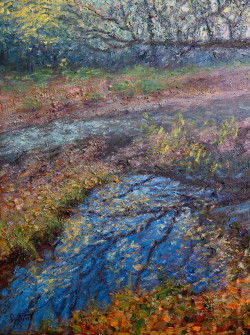 Dan Scott, New Zealand, Arrowtown Reflections, 2024