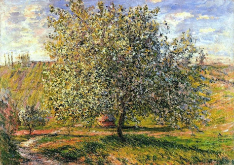 Claude Monet, Apple Treen in Blossom Near Vetheuil, 1879
