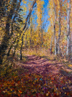 Dan Scott, New Zealand, Autumn Colors, 2024