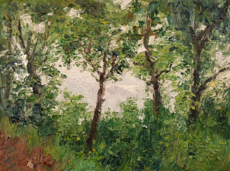 Dan Scott, Misty Lake Through the Trees, 2022,