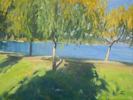 Dan Scott, Queenstown, New Zealand, Oil, Large