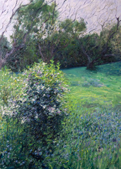 Dan Scott, Maleny, White, Purple, and Blue Flowers, 2022