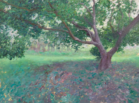 Dan Scott, Tree Series, Overcast, 2021, 1200W