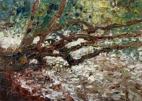 Dan Scott, Wellington Point, Mangroves, 2026