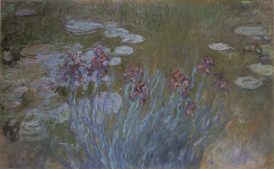 Claude Monet, Irises and Water-lilies, 1914-17