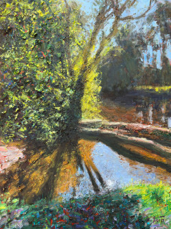 Dan Scott, Fallen Trees and Striking Contrast, 2024