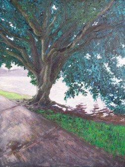 Dan Scott, Brisbane City, White Light, 2022