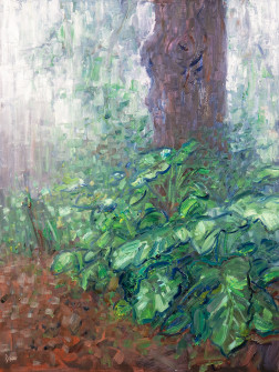 Dan Scott, Montville, Tree in Mist, 2022, 1200W