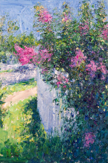 Dan Scott, Magenta Flowers, Brisbane, 2023