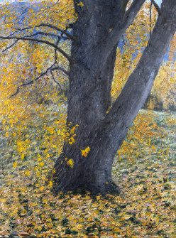 Dan Scott, New Zealand, Autumn Colors, 2026