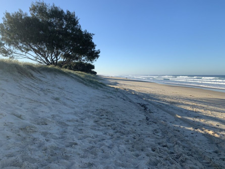Gold Coast (2)