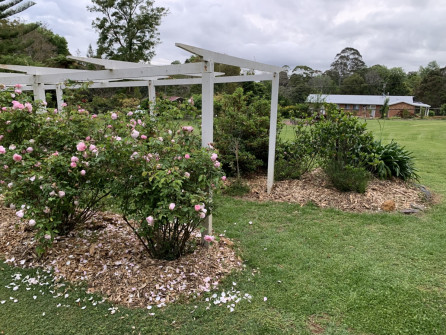 Maleny, Queensland, 2022 (12)