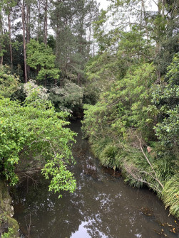 Maleny, Queensland, 2022 (40)