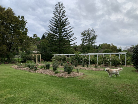 Maleny-Queensland-2022-44