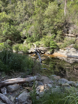 Dan Scott, Mount Barney Hike, 2025 (11)