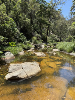 Dan Scott, Mount Barney Hike, 2025 (31)