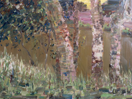 Dan Scott, Maleny Pond, 2026