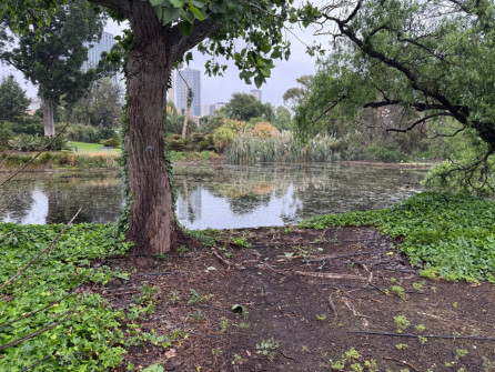 Dan Scott Adelaide Botanic Gardens 2026 14