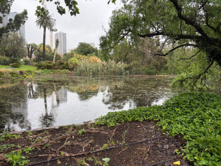 Dan Scott Adelaide Botanic Gardens 2026 15