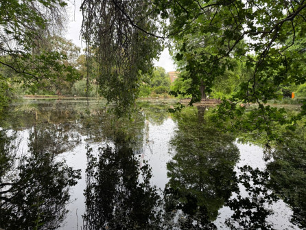 Dan Scott Adelaide Botanic Gardens 2026 27