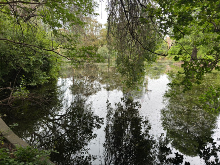 Dan Scott Adelaide Botanic Gardens 2026 28