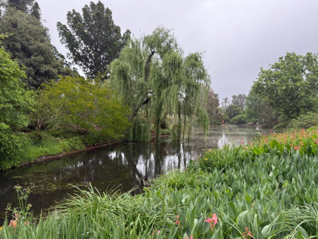 Dan Scott Adelaide Botanic Gardens 2026 3