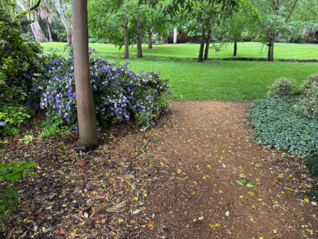 Dan Scott Adelaide Botanic Gardens 2026 38