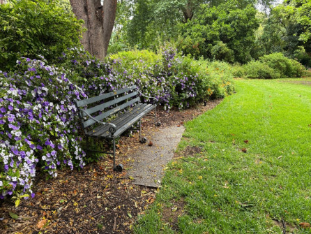Dan Scott Adelaide Botanic Gardens 2026 39