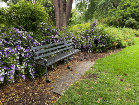 Dan Scott Adelaide Botanic Gardens 2026 40