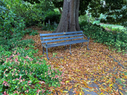 Dan Scott Adelaide Botanic Gardens 2026 43