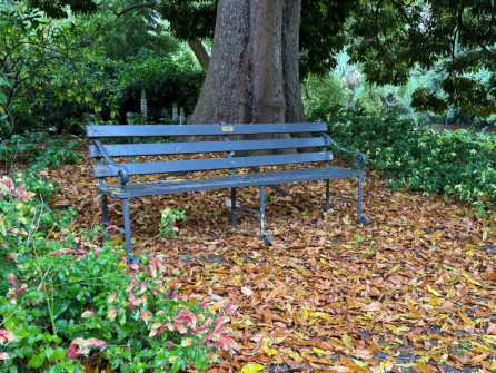 Dan Scott Adelaide Botanic Gardens 2026 44