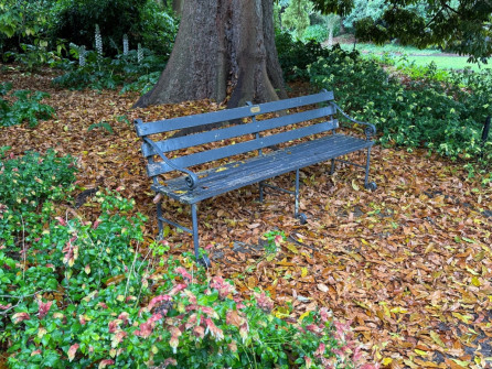 Dan Scott Adelaide Botanic Gardens 2026 45