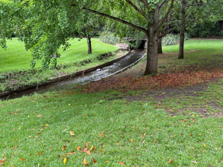 Dan Scott Adelaide Botanic Gardens 2026 46