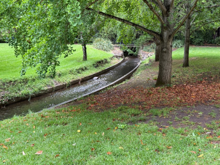 Dan Scott Adelaide Botanic Gardens 2026 47