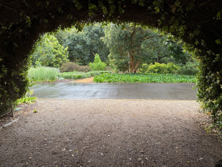Dan Scott Adelaide Botanic Gardens 2026 48