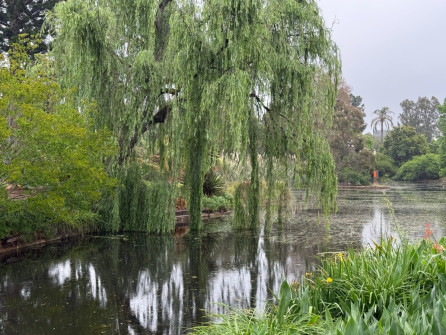 Dan Scott Adelaide Botanic Gardens 2026 5