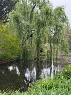 Dan Scott Adelaide Botanic Gardens 2026 6