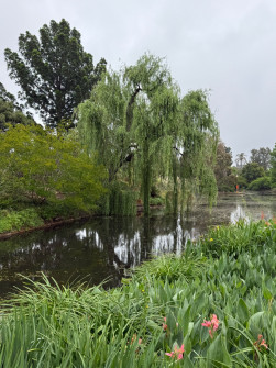 Dan Scott Adelaide Botanic Gardens 2026 8