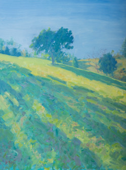 Dan Scott, Maleny, High Key, 2020