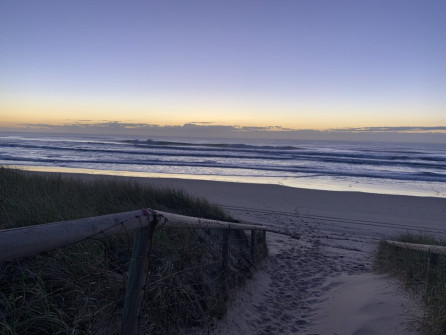 Gold Coast (1)