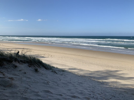 Gold Coast (10)
