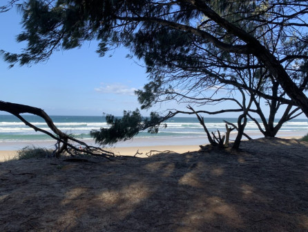 Gold Coast (12)
