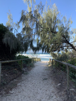 Gold Coast (13)