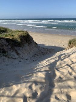 Gold Coast (16)