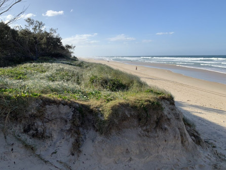 Gold Coast (17)