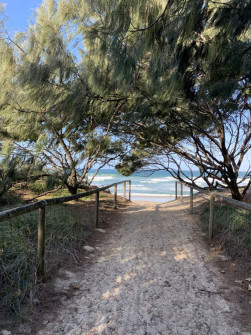 Gold Coast (18)