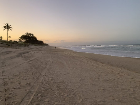Gold Coast (20)