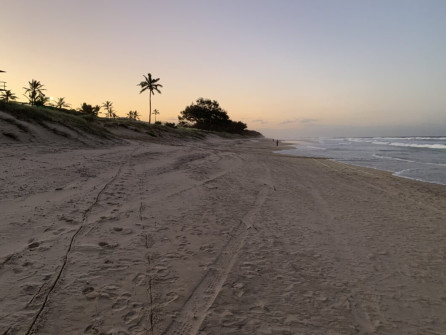 Gold Coast (21)