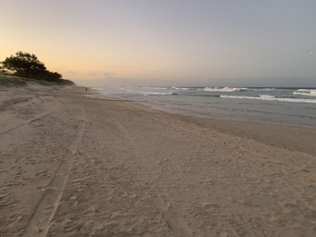 Gold Coast (22)