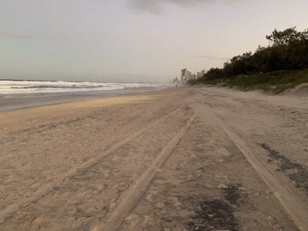 Gold Coast (23)